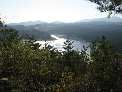 水量の減った山下の池