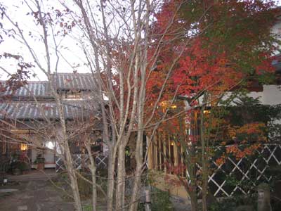 紅葉が鮮やかでした