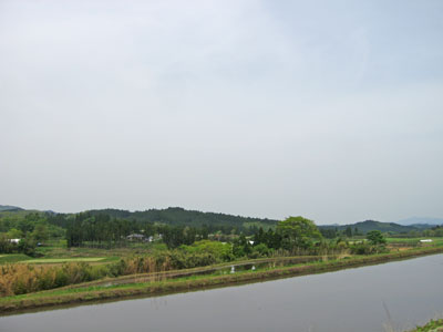 既にたんぼには水をはっています。