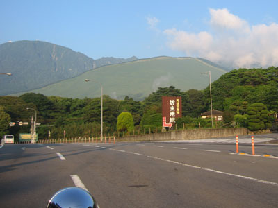 すっかり新緑
