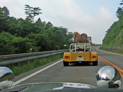 おおっと。大きなウマですねえ